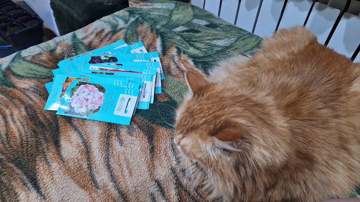 Фото автора. 