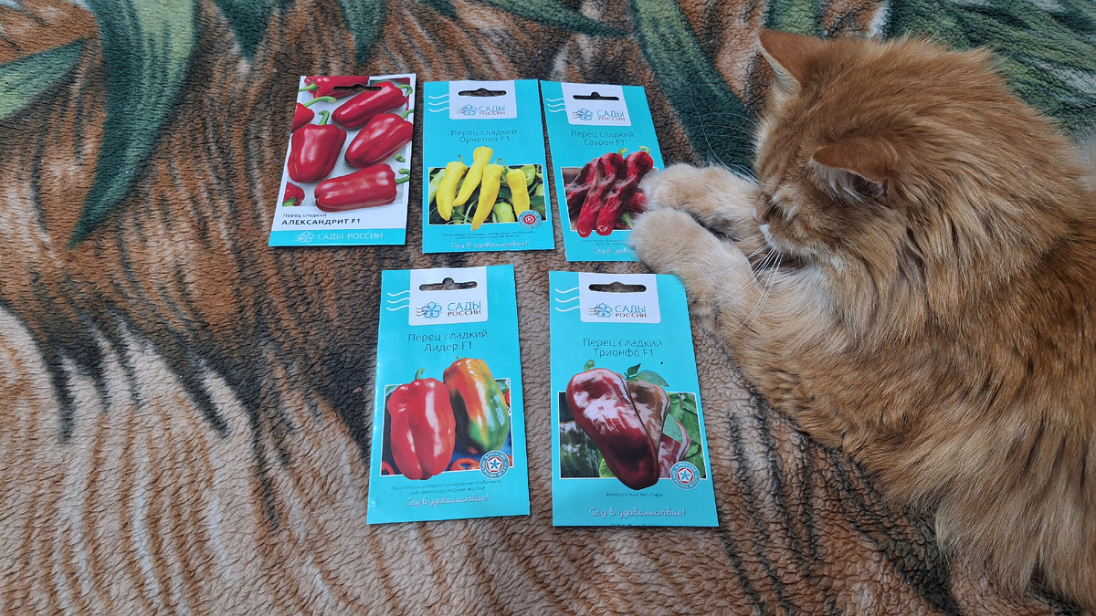 Фото автора. 