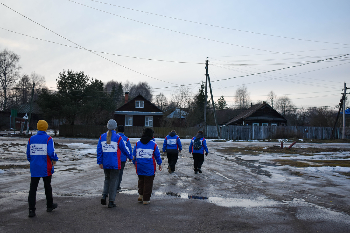 Калязинский район без снега, январь-2025