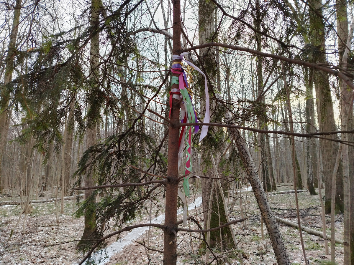 Ленты - символ внимания месту, оставивший может загадать желание