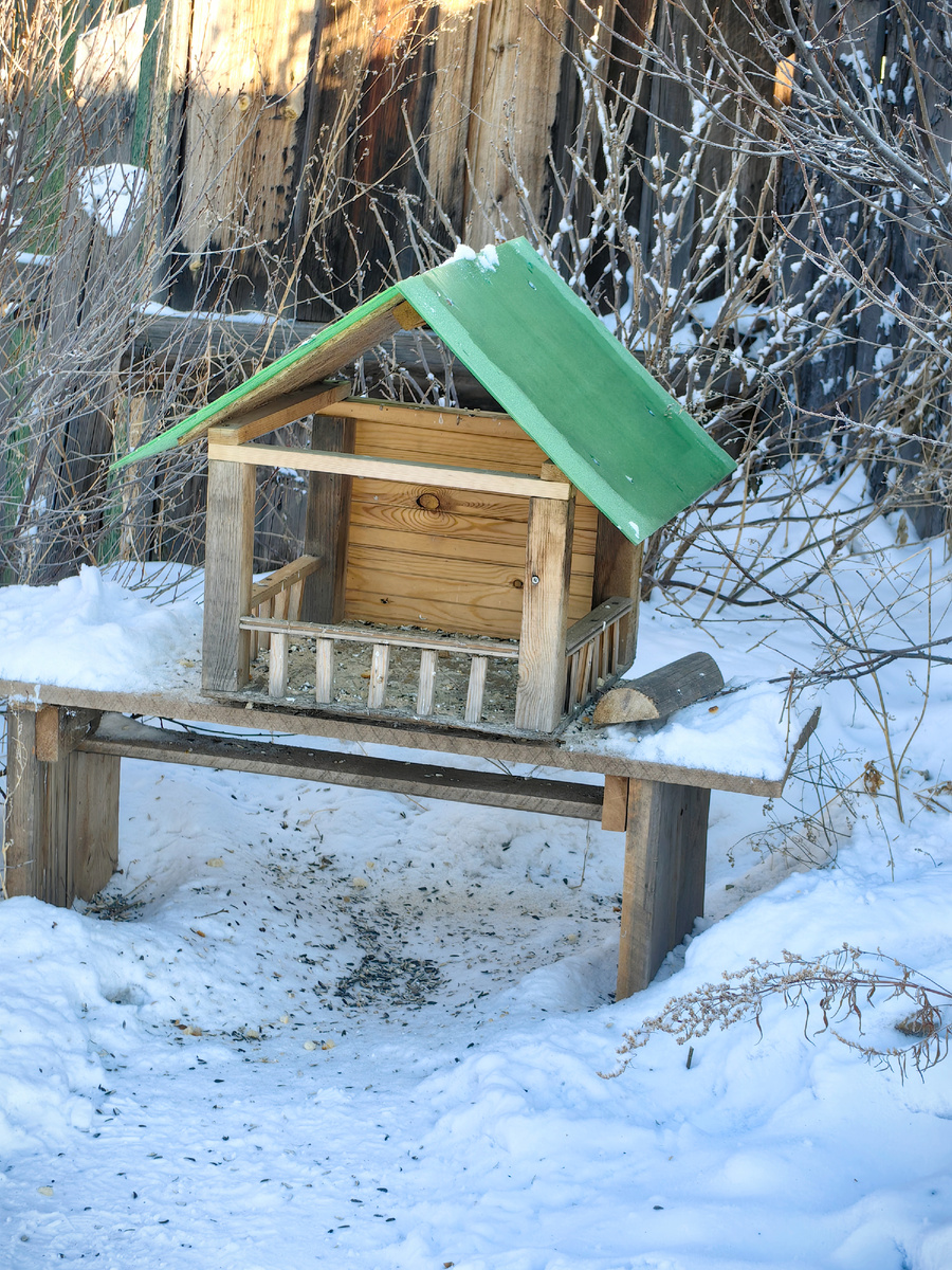 Саша сделал сам