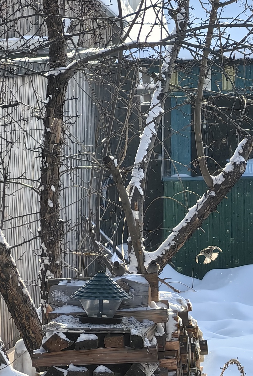 В ожидании обеда