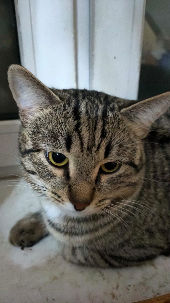 Ну, рассказывай!