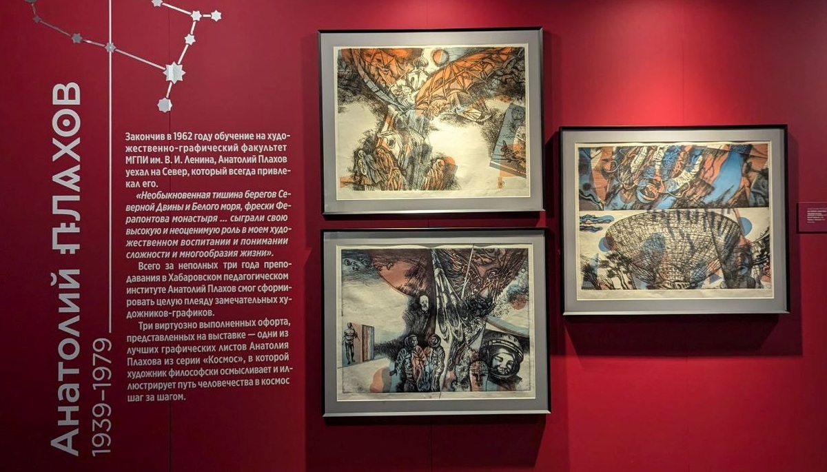 Общий вид экспозиции работ Плахова с аннотацией. Фото моё