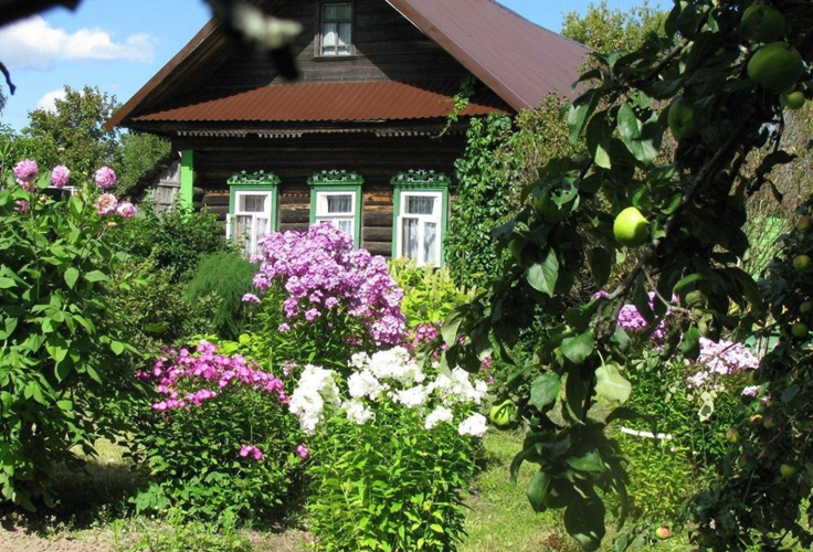 Дом бабушки