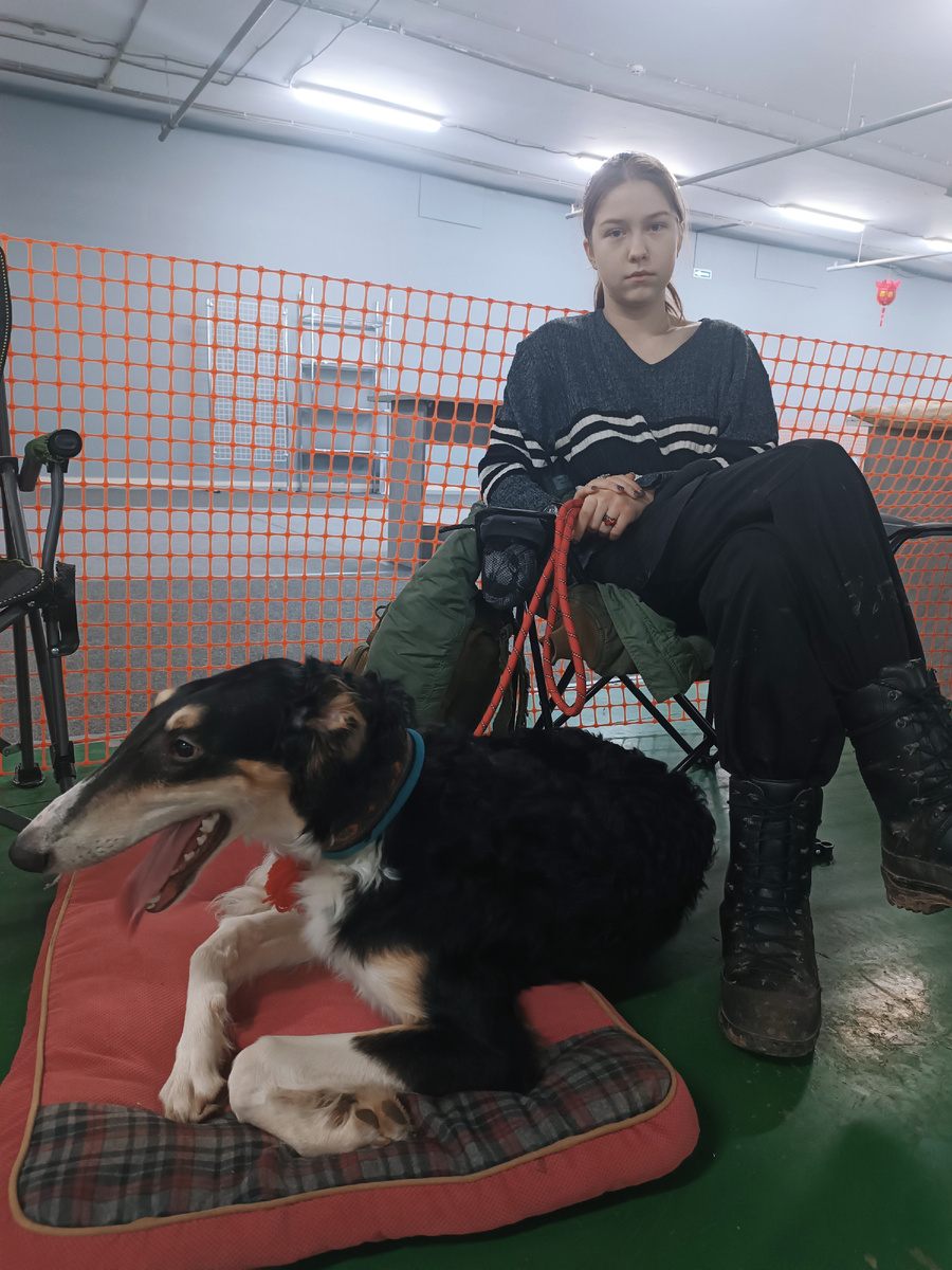 Да сдались мне Ваши кошки, своих навалом. Похвист