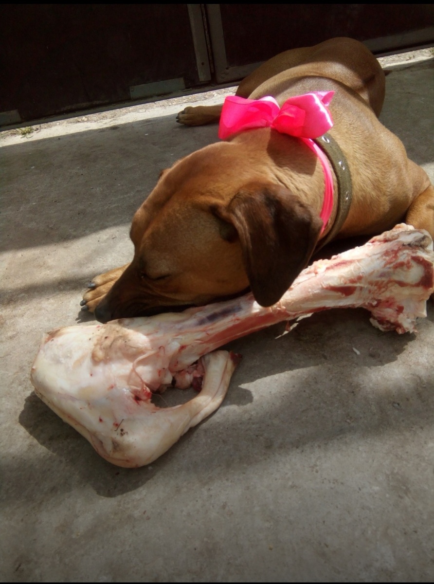 Не Африка, но счастье есть. Вот так бы и лежала всю жизнь. Нам исполнился год)))) 