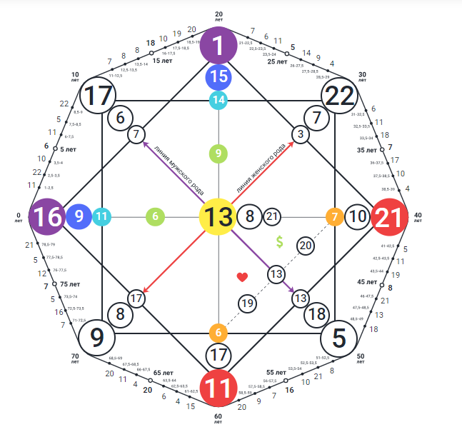 Матрица модели