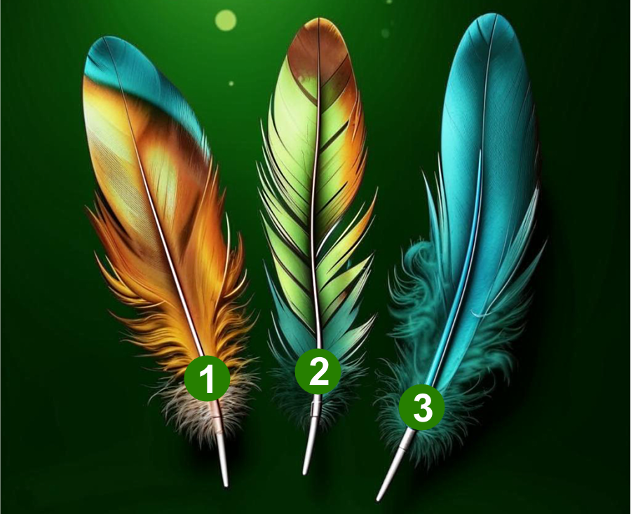 Выберите перо 