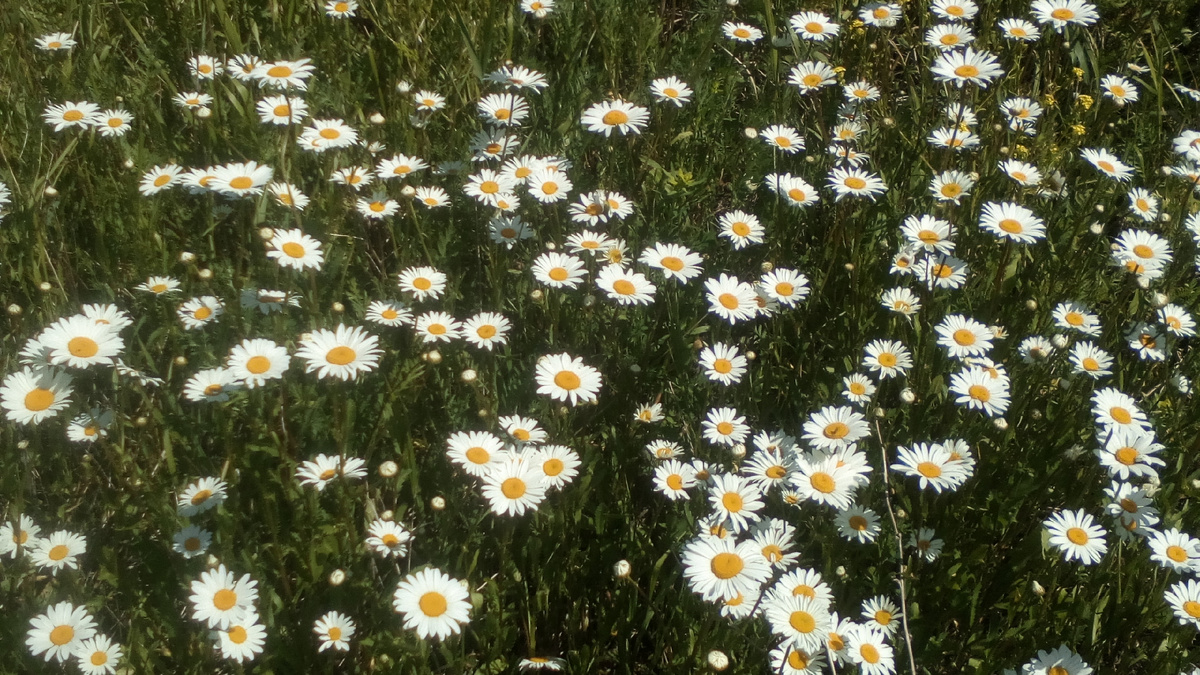 личное фото автора