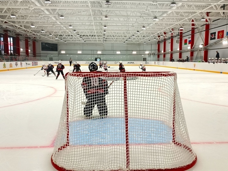     Турнир по хоккею с шайбой «Ледокол» во второй очереди «Дацюк-арены». Фото: Николай Курилов / МК-Урал.