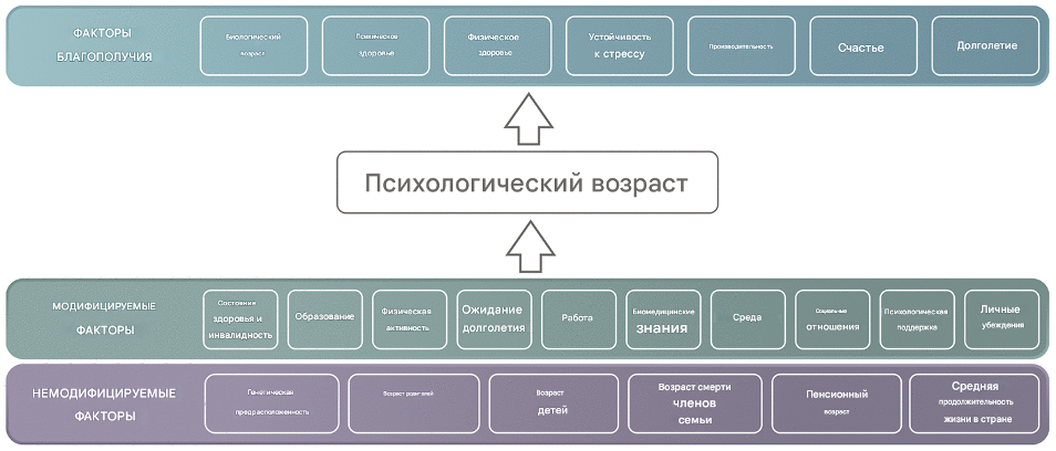 Перечень модифицируемых и немодифицируемых факторов, которые могут влиять на психологический возраст (Mitina, Young, Zhavoronkov, 2020)