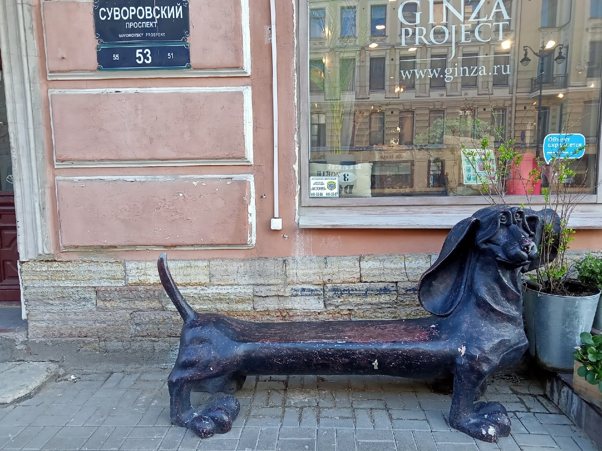 Фото автора