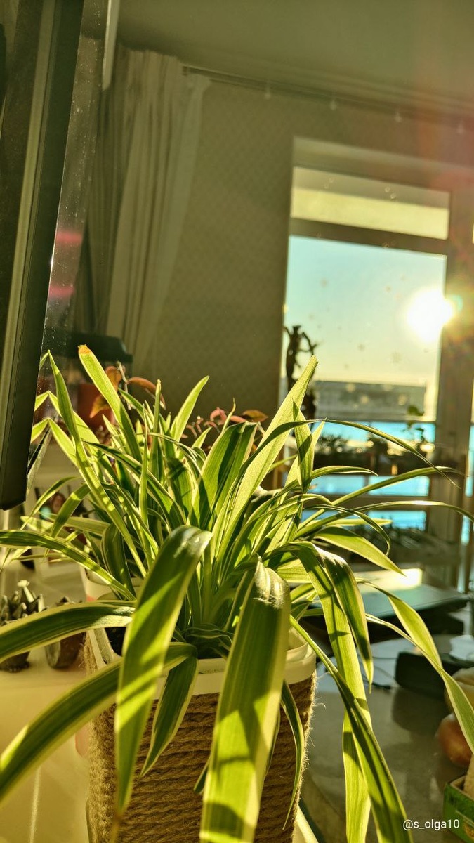 Солнечные лучи и в феврале греют