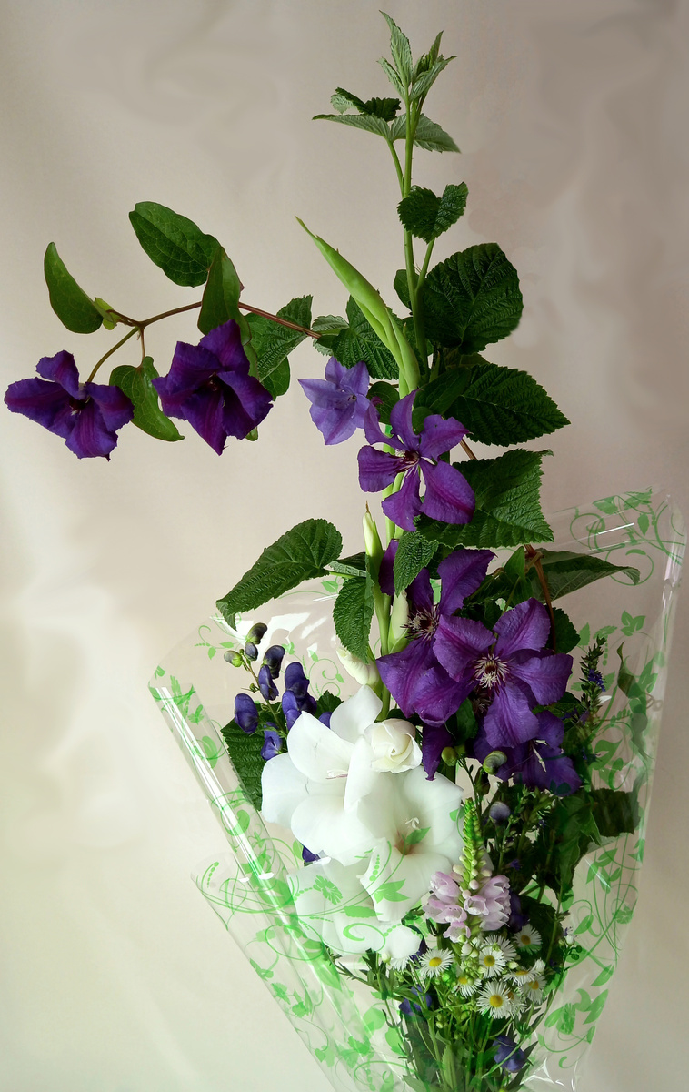 Цветы из сада, фото из телефона