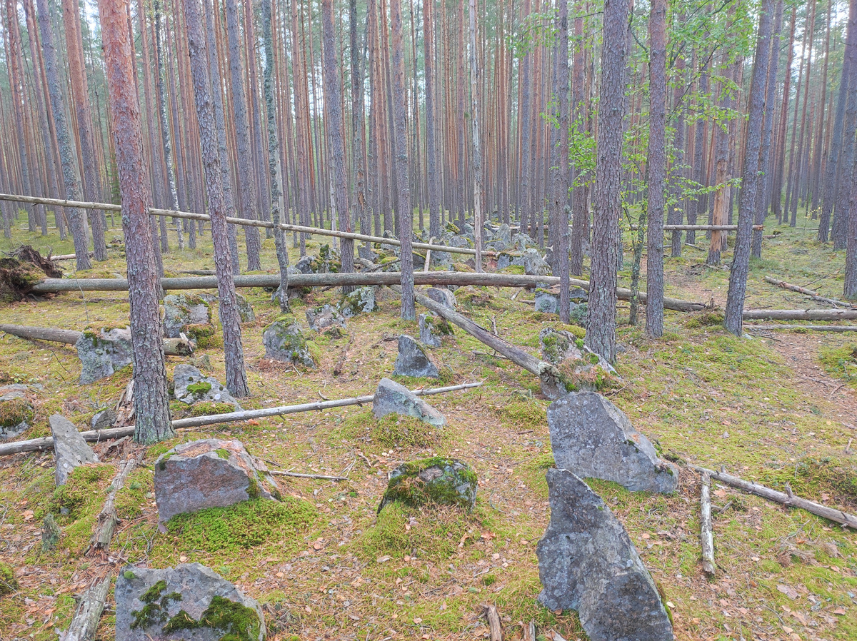Финские противотанковые надолбы, т.н. Зубы Дракона. Эхо Зимней войны 1939-1940гг.