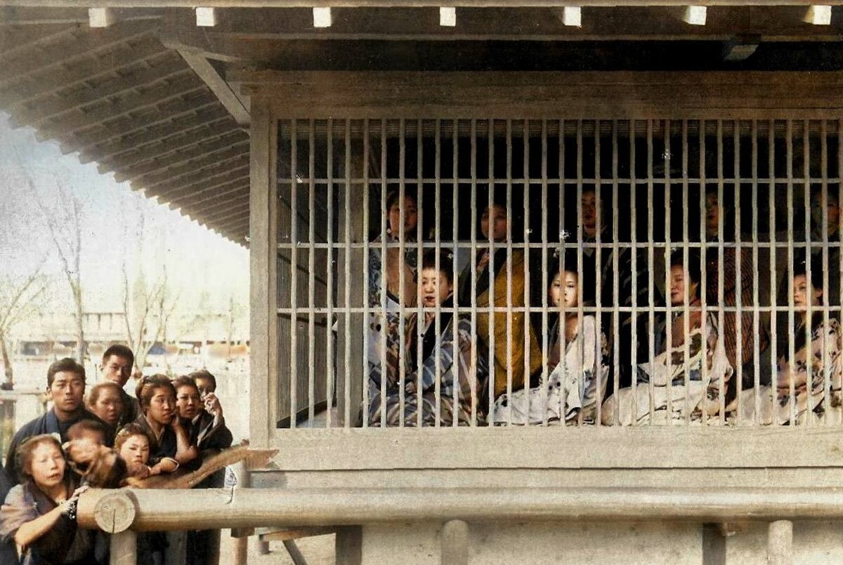 Выставленные на продажу дамы легкого поведения за решеткой в публичном доме. Япония, 1890 год