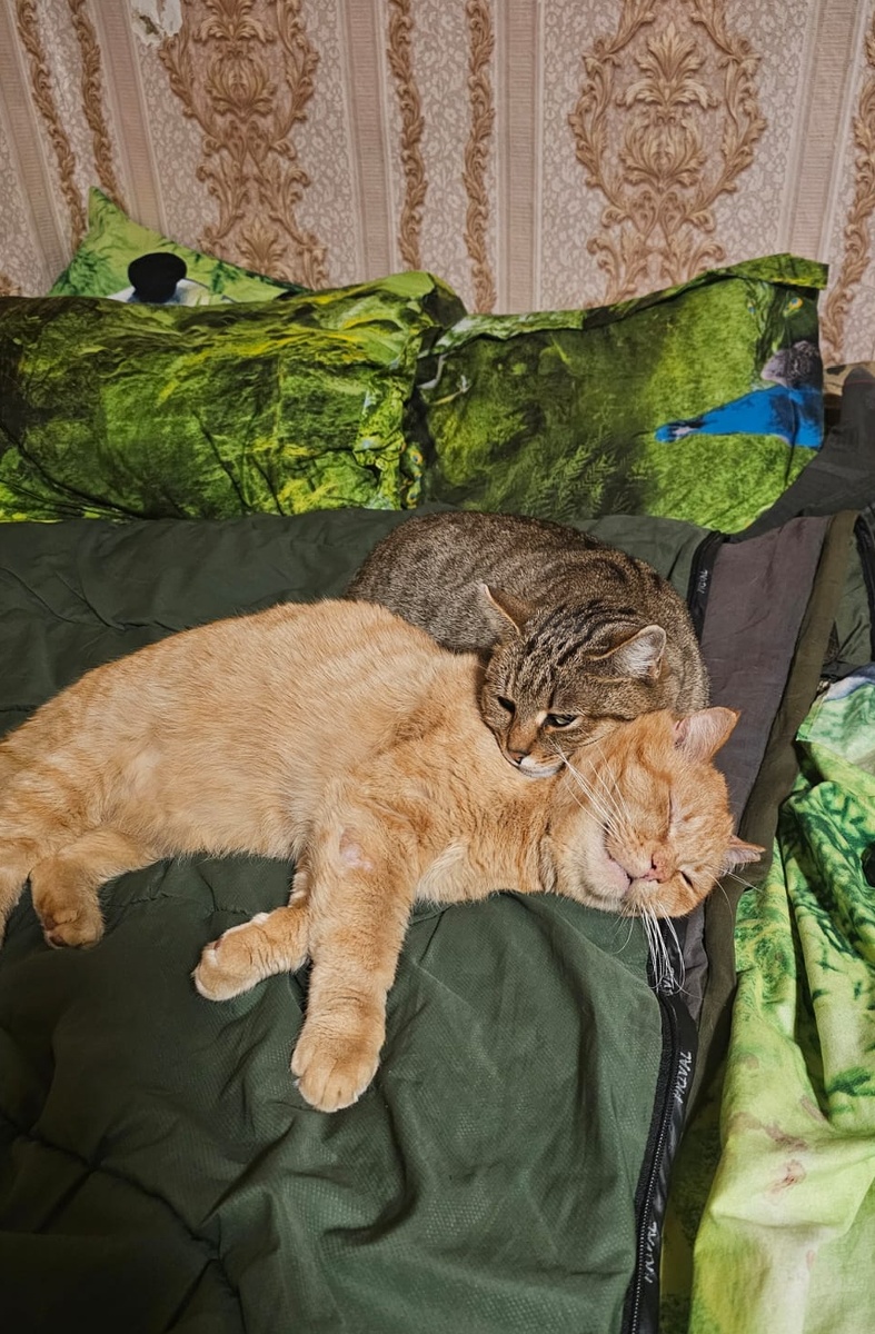 Проня и Марфуша