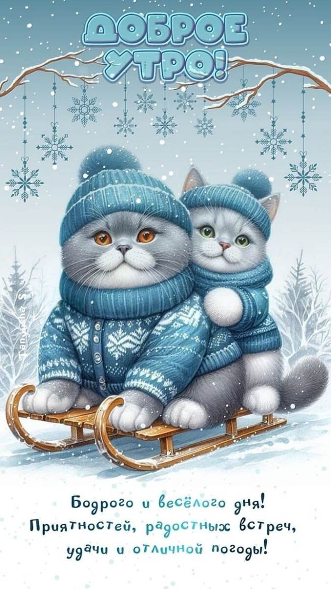 Фото из сети Интернет