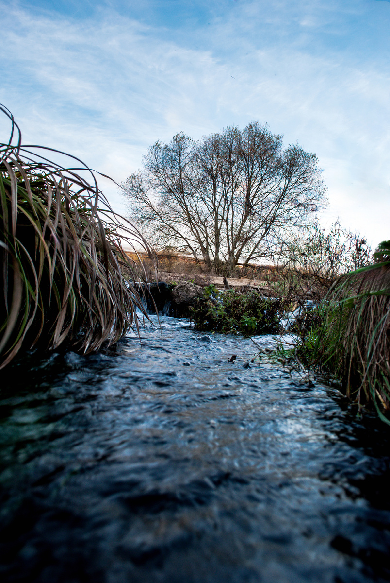 Nikon D3000 F/3.5 ISO-400 1/20 объектив18-55 мм f / 3,5-5,6 Г AF-S DX 