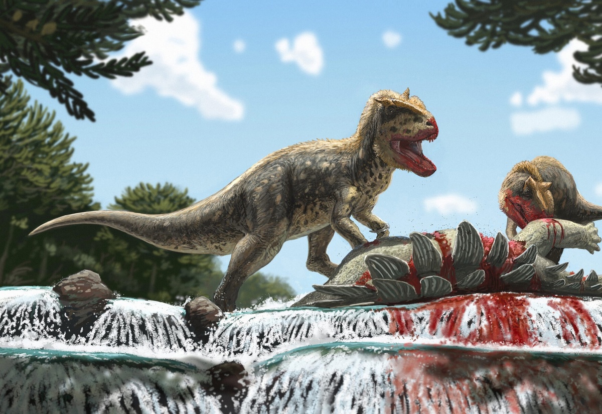 Alpkarakush kyrgyzicus. Иллюстрация: Joschua Knüppe.