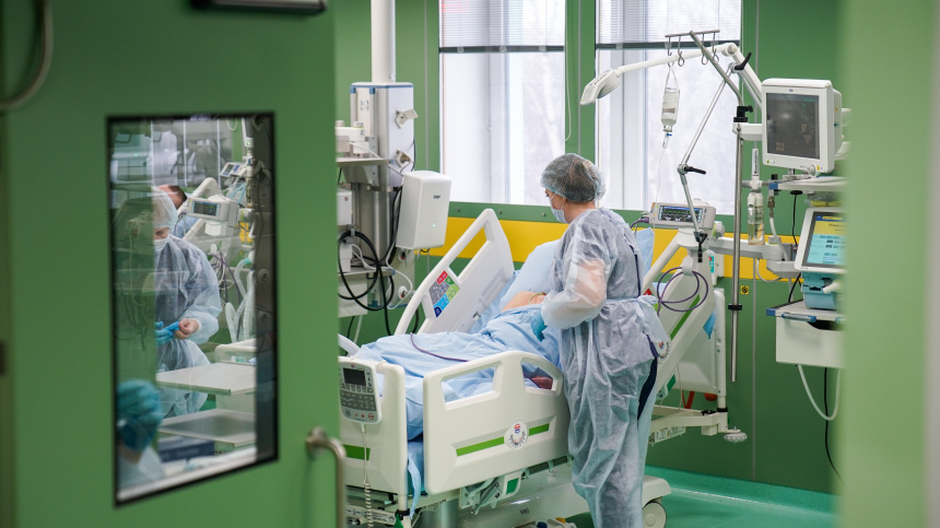    Фото: ИЗВЕСТИЯ/Сергей Лантюхов; 5-tv.ru