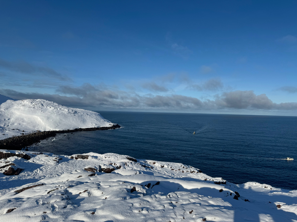 Берег Баренцево моря