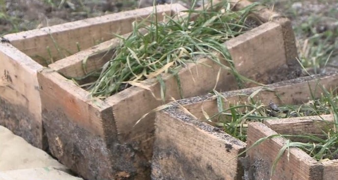    Фото: «Вести-Рязань»