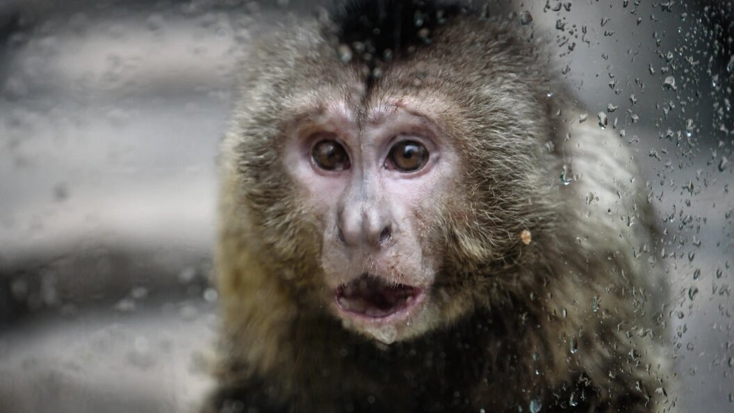    ФОТО: Ilya Moskovets/Globallookpress