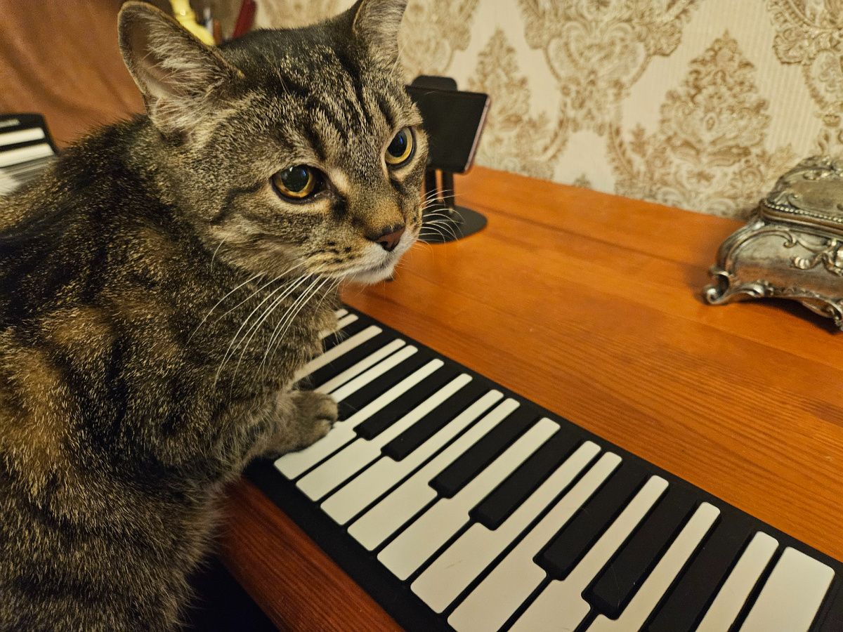 Виссарион Семенович музицирует.