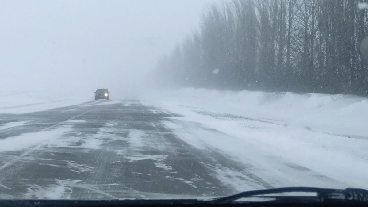 Фото из интернета для картинки