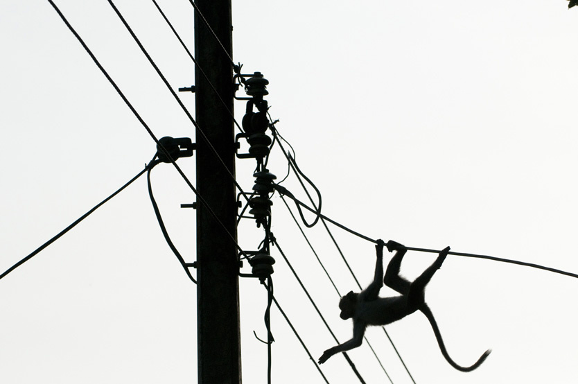 Фото: Barney Wilczak / ZUMAPRESS.com / Global Look Press