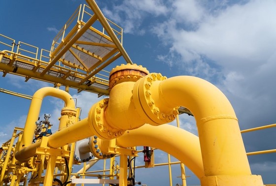    Shutterstock/FOTODOM