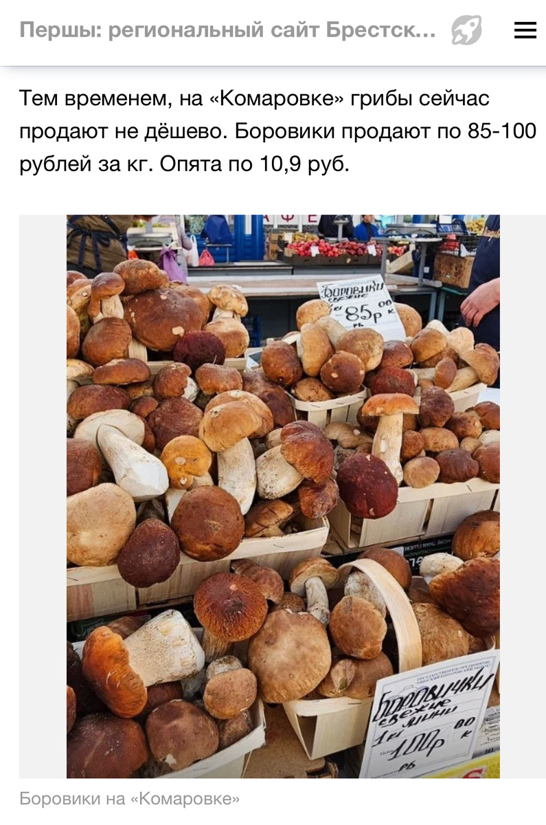 Вот какой можно сделать прогноз по сообщению в соцсети….Не ясно где сбор(сейчас везут грибы в холодильниках за тысячи километров)….Можно прогнозировать лишь окончание слоя….Летом грибы крайне локально и неравномерно растут чаще всего….