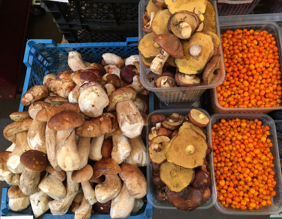 Грибы на рынке в Москве….Продавцы не имеют понятия в какой области это собрано, придумывают находу