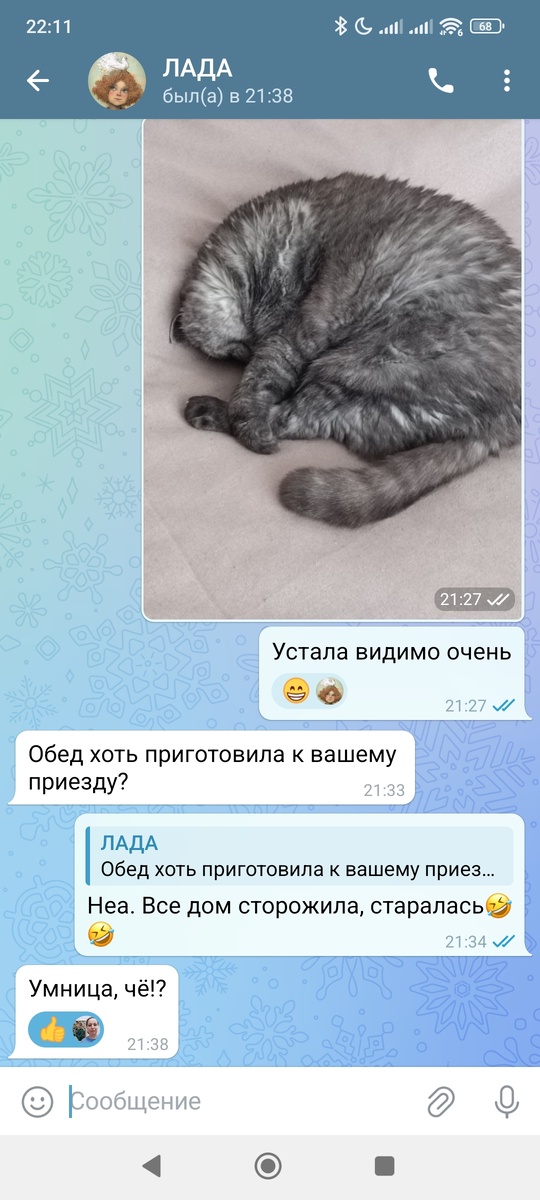 Если бы она обеды умела готовить, мы б её всему посёлку в аренду давали 😜