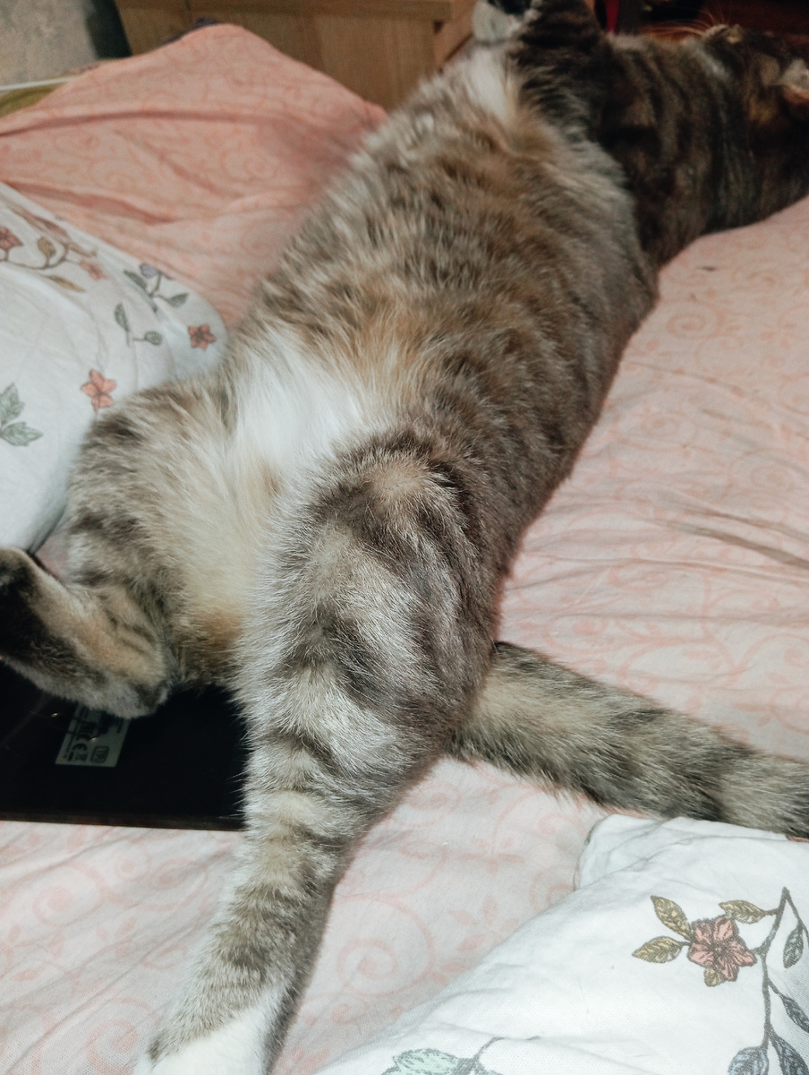 Личное фото автора канала