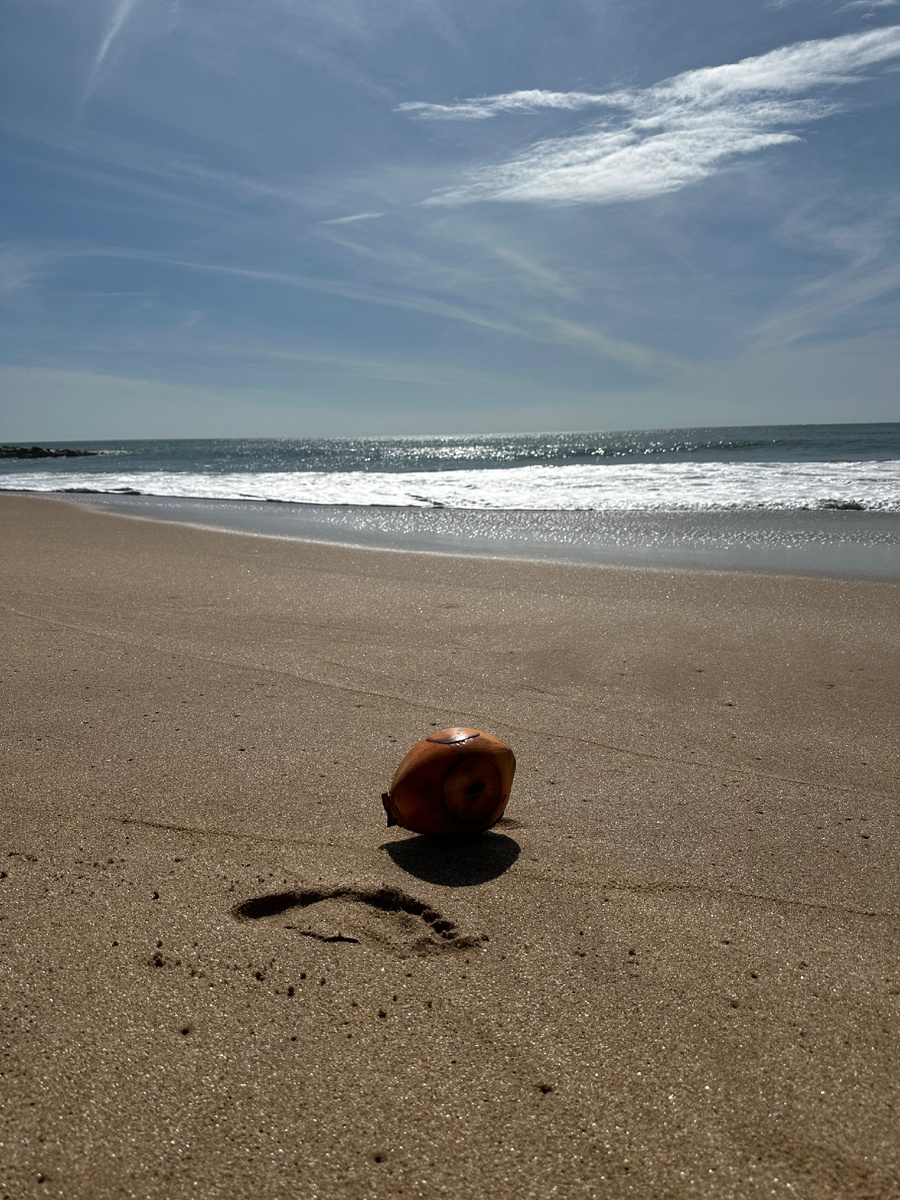 А ведь кажется, океан ласковый
