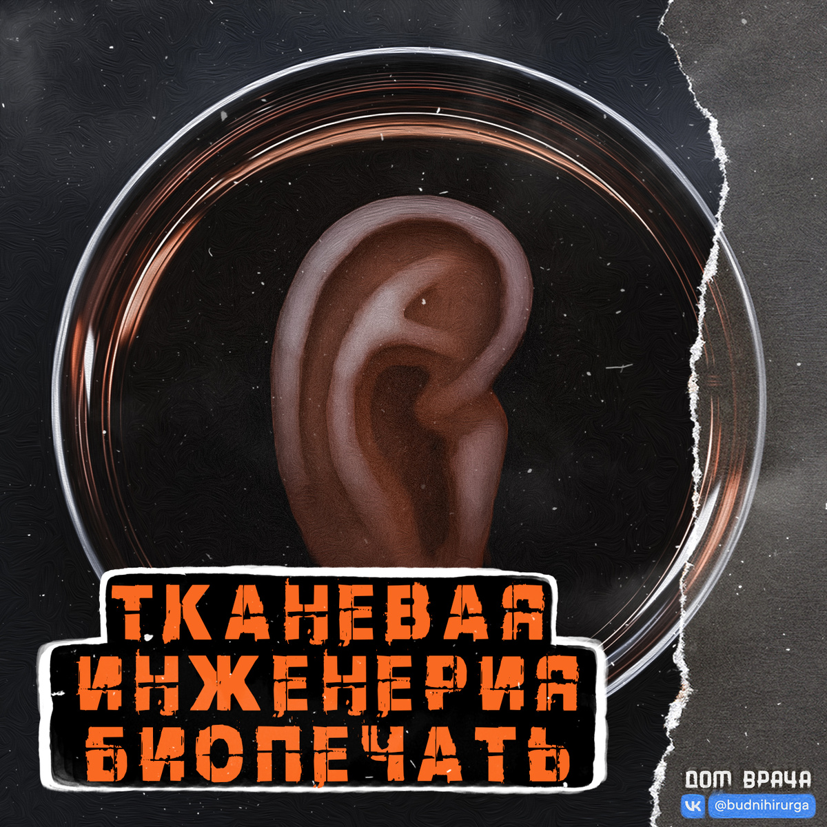 Фото взято из свободных источников в интернете. 