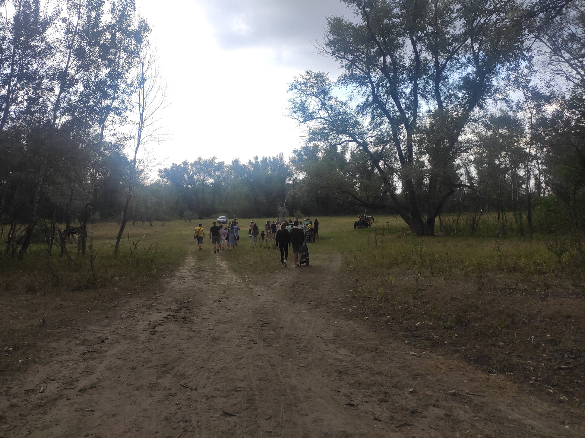 Идём на поляну.