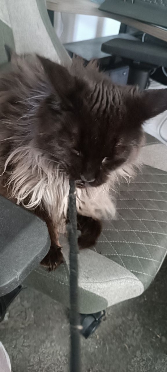 Это Бозя, если вы не забыли!