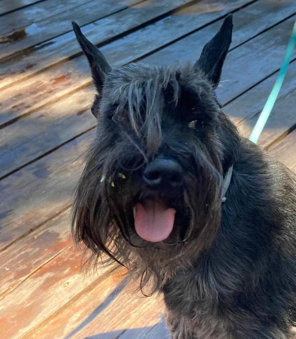 Кнопа демоническая!