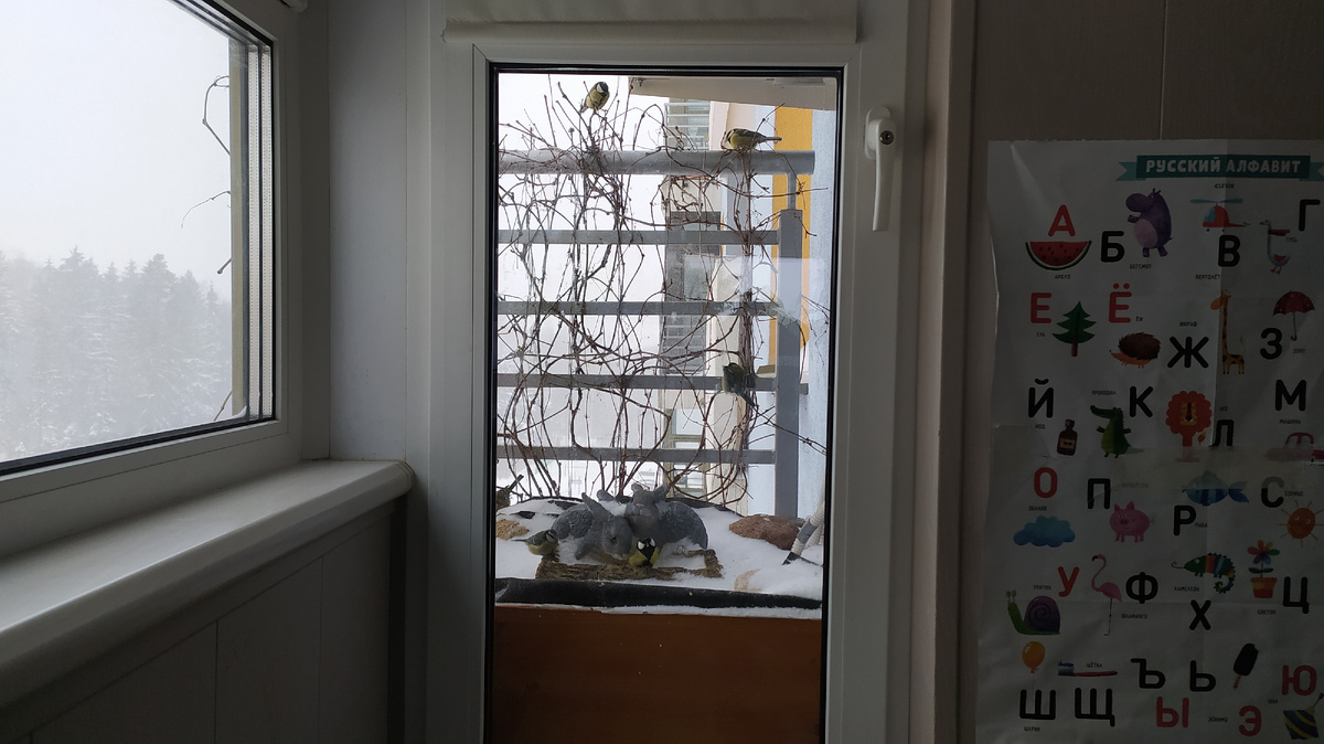 Вот так это выглядело с моего рабочего места зимой.