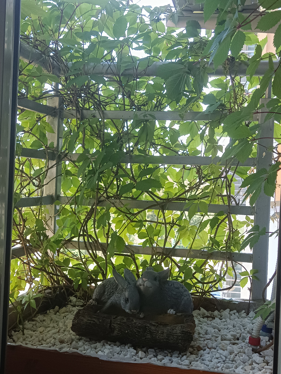 Летний сезон, обычно летом не кормила.