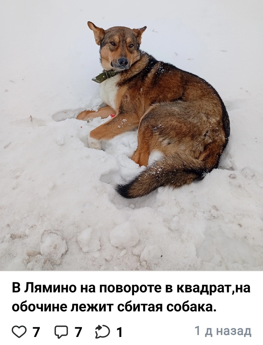 Объявление на стене группы 