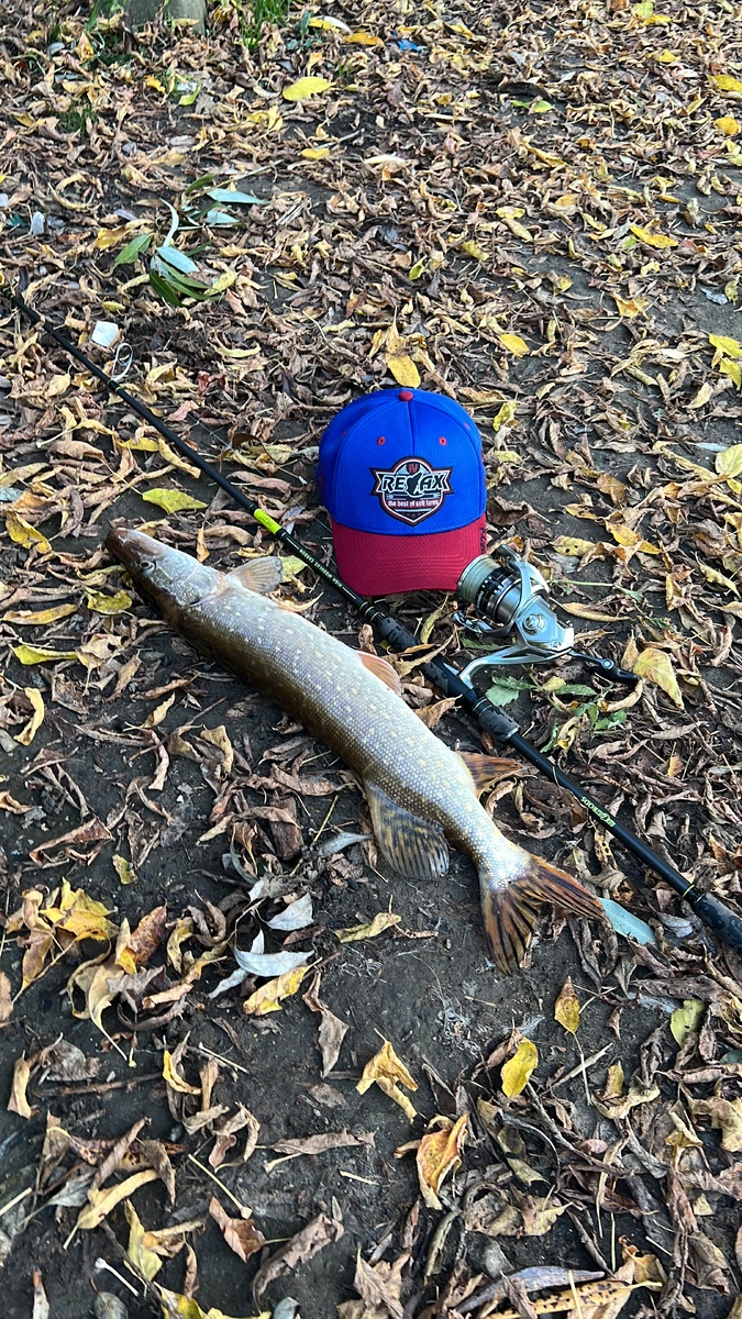 Джиг в ноябре 2024