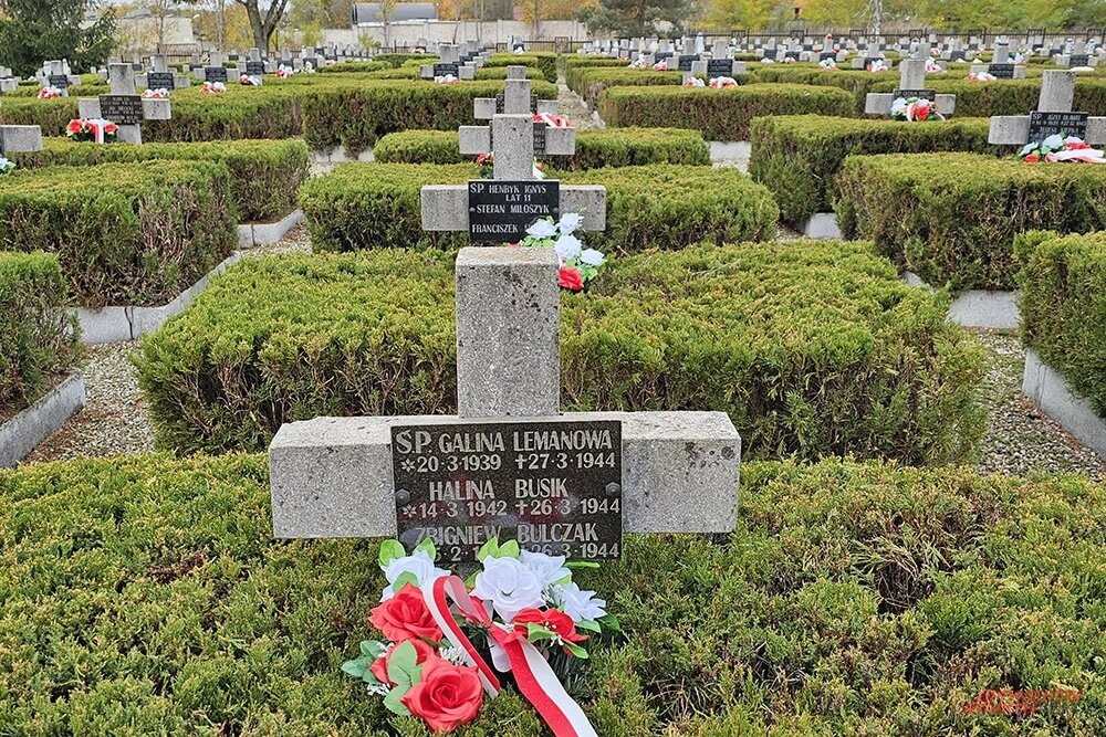    Фото:  АиФ/ Георгий Зотов