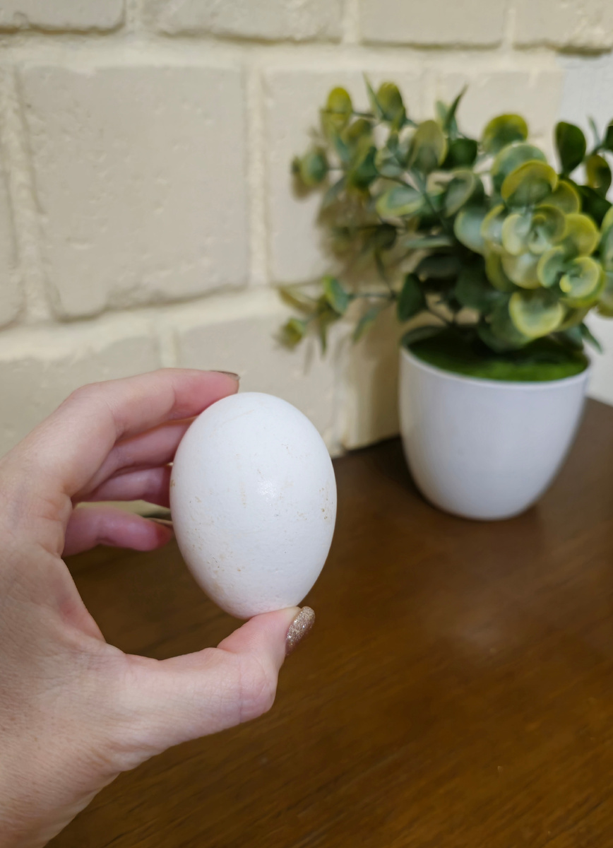 Яйцо невареное, куриное