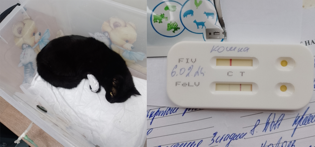 Помогите продлить жизнь