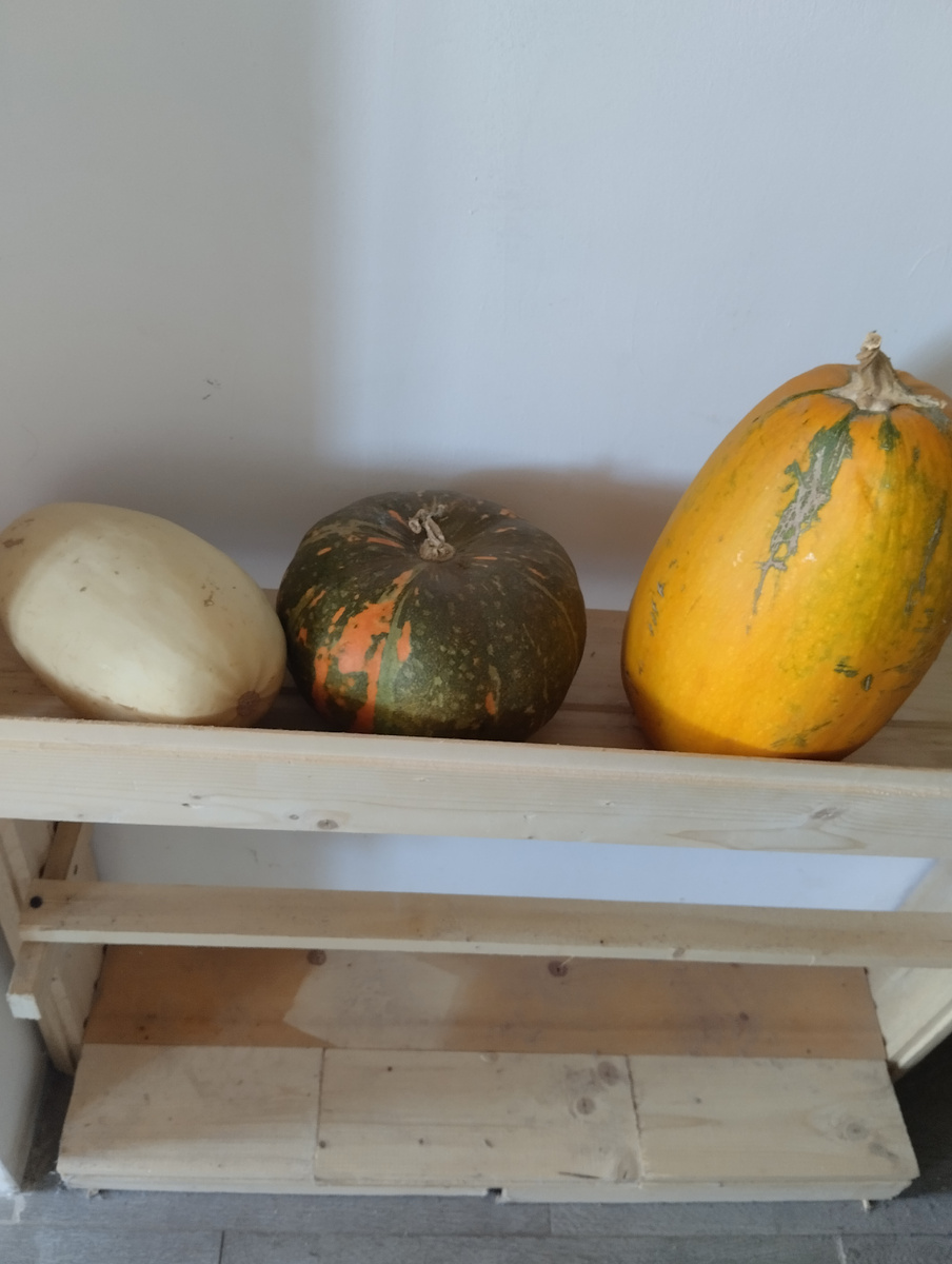 Фото автора для заставки 